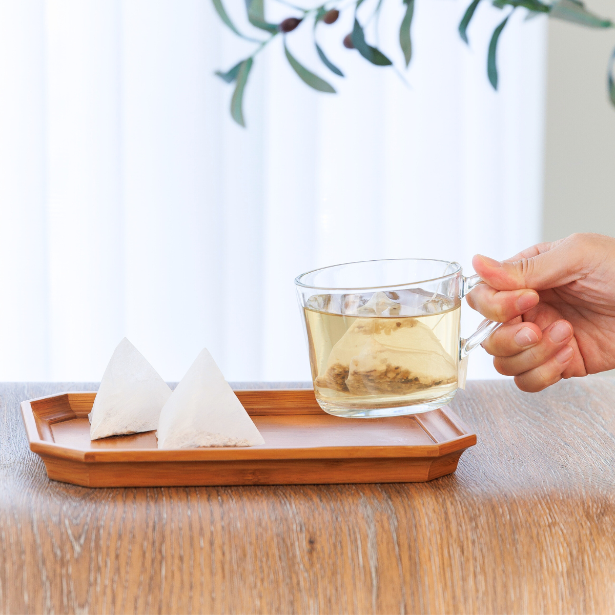 茯苓茶 – 輕盈亮顏，促進新陳代謝(10入/盒)